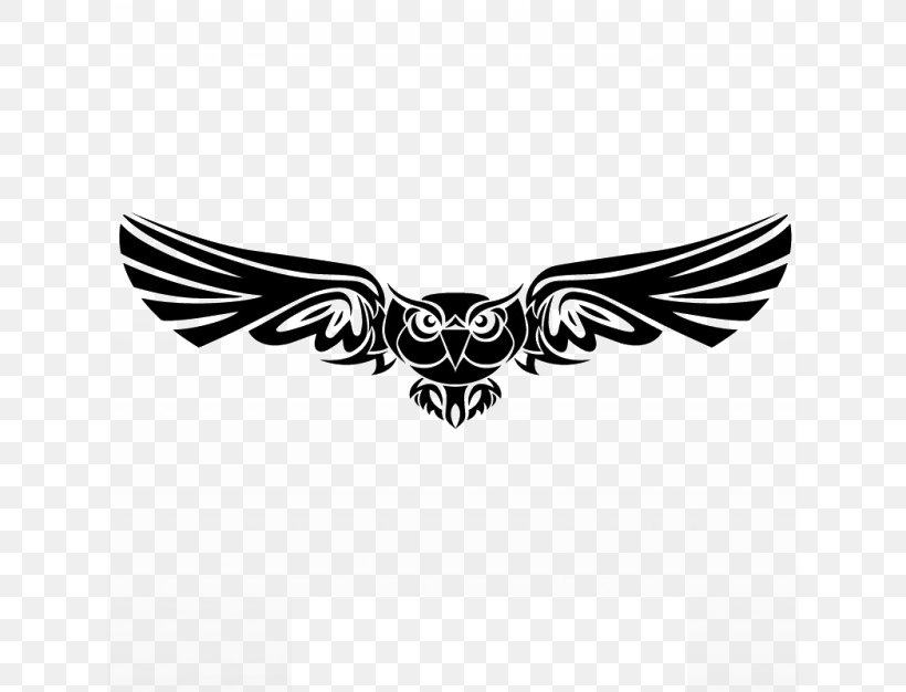 Owl Bird Clip Art, PNG, 626x626px, Owl, Art, Bird, Black, Black And White Download Free