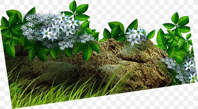 Flowerpot Plant Tree, PNG, 1623x899px, Flower, Bird, Flora, Flowerpot, Grass Download Free