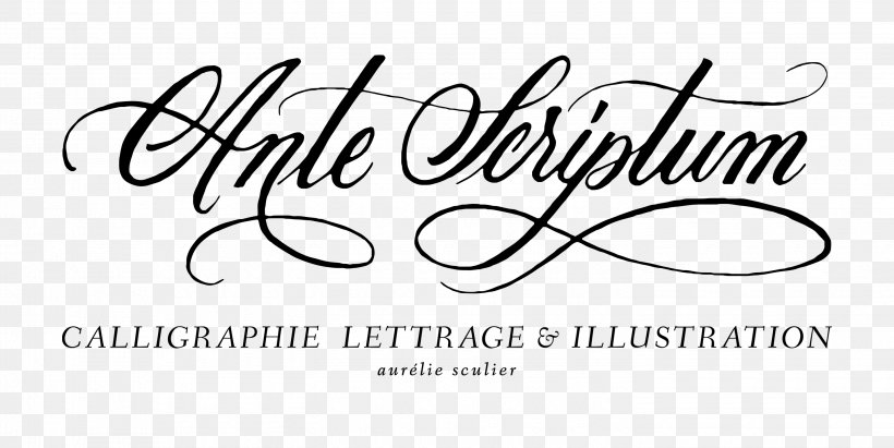 Logo Calligraphy Handwriting Brand Font, PNG, 2890x1450px, Logo, Area, Art, Black, Black And White Download Free