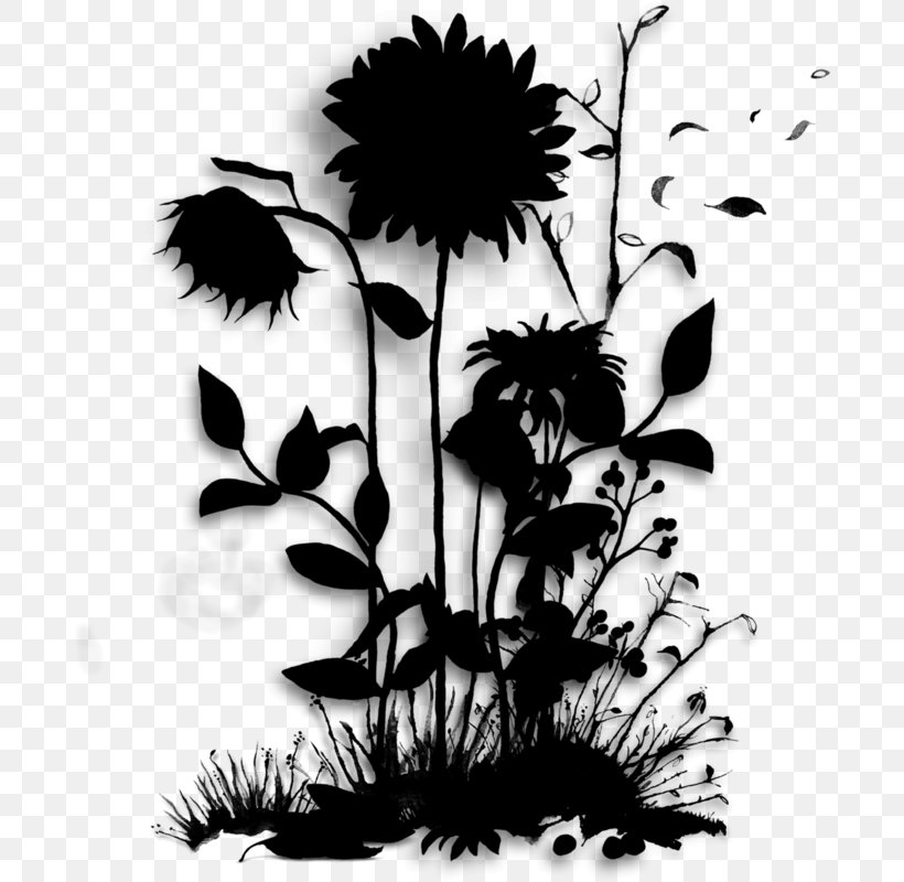 Floral Design Graphics Silhouette Flowering Plant, PNG, 688x800px, Silhouette, Blackandwhite, Botany, Daisy Family, Dandelion Download Free