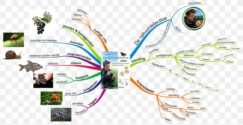 Mind Map Buzan's IMindMap Education Organization Book, PNG, 1600x825px, Mind Map, Book, Education, Elementary School, Organism Download Free