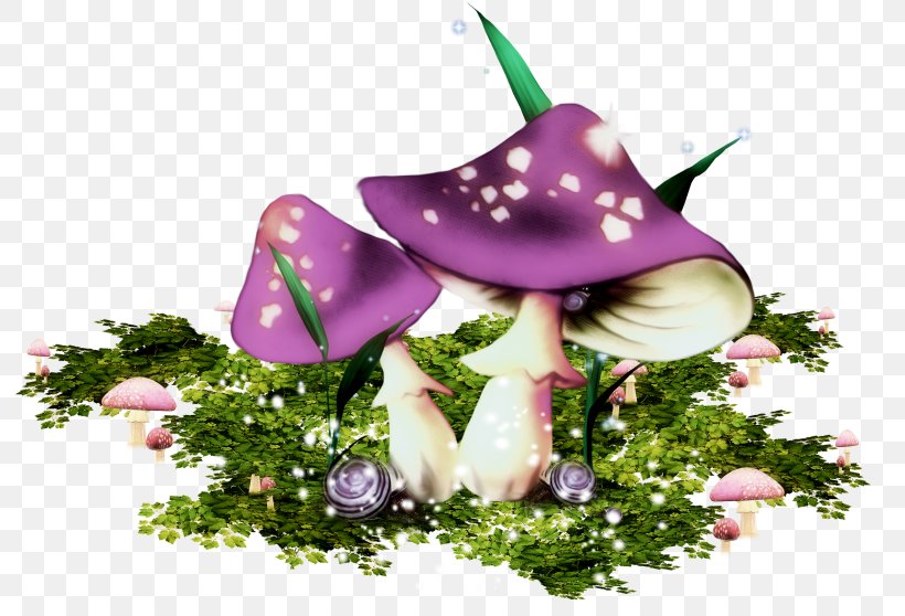 Mushroom Clip Art, PNG, 800x558px, Mushroom, Blog, Cut Flowers, Drawing, Flora Download Free