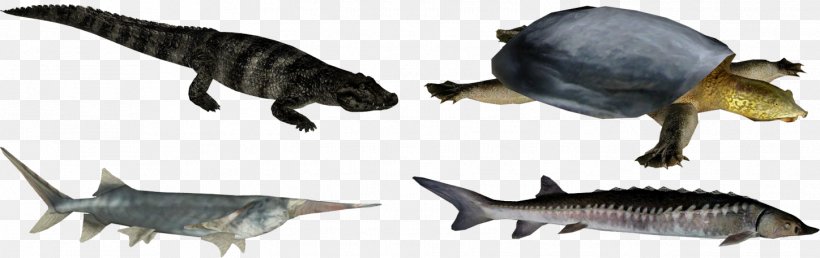 Terrestrial Animal Dinosaur Wildlife Fish, PNG, 1448x457px, Terrestrial Animal, Animal, Animal Figure, Dinosaur, Fauna Download Free
