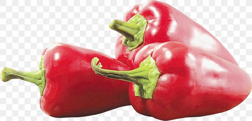 Vegetable Cartoon, PNG, 3535x1704px, Habanero, Bell Pepper, Capsicum, Cayenne Pepper, Chili Pepper Download Free