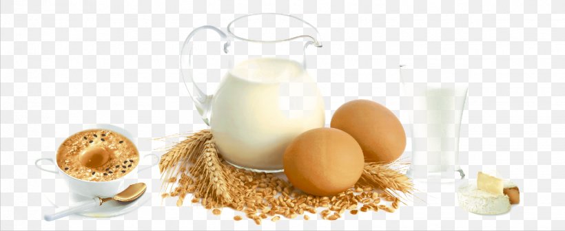 Breakfast Calcium Nutrient Alcoholic Drink Nutrition, PNG, 1442x592px, Breakfast, Alcoholic Drink, Bone, Calcium, Chicken Egg Download Free