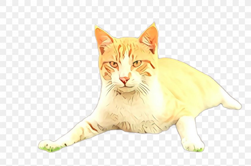 Cat Small To Medium-sized Cats Whiskers Yellow Kitten, PNG, 2000x1328px, Cartoon, American Wirehair, Cat, European Shorthair, Kitten Download Free