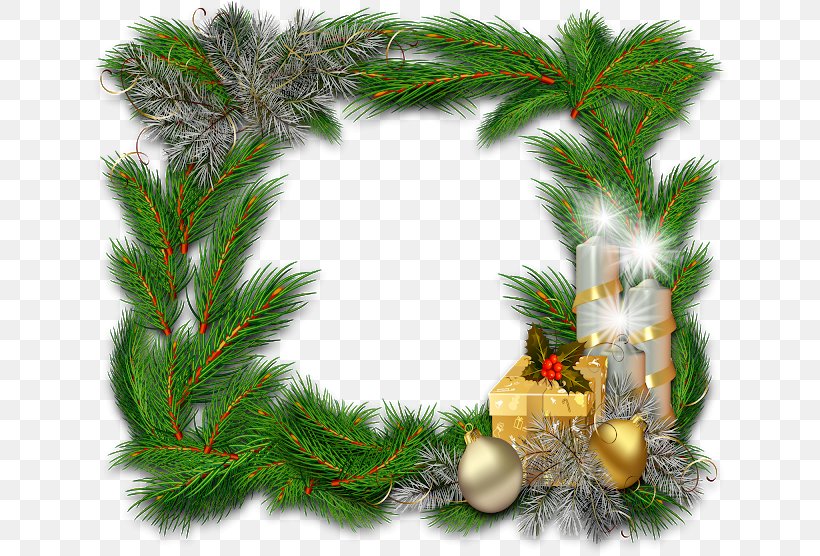 Christmas Ornament Christmas Decoration Photography Clip Art, PNG, 640x556px, Christmas Ornament, Branch, Christmas, Christmas And Holiday Season, Christmas Decoration Download Free