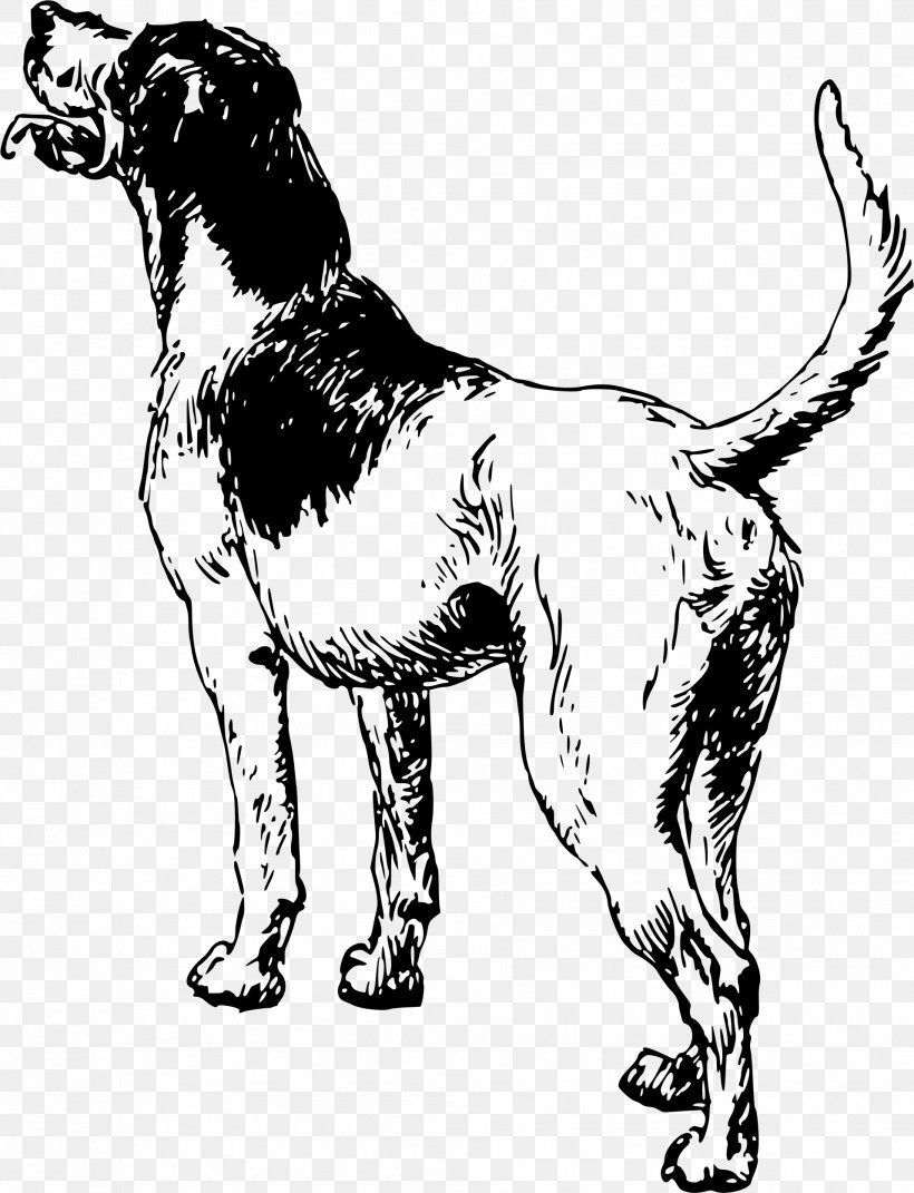 Dog Breed Sporting Group Spaniel Clip Art, PNG, 1913x2500px, Dog Breed, Black And White, Carnivoran, Dog, Dog Breed Group Download Free