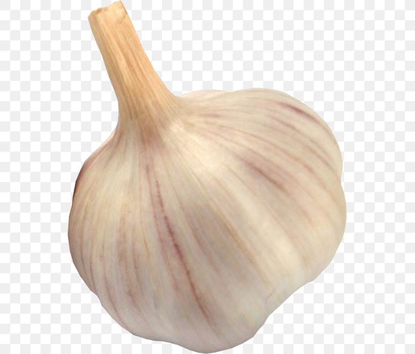 Garlic Dandan Noodles Onion, PNG, 553x700px, Garlic, Dandan Noodles, Digital Image, Elephant Garlic, Image File Formats Download Free