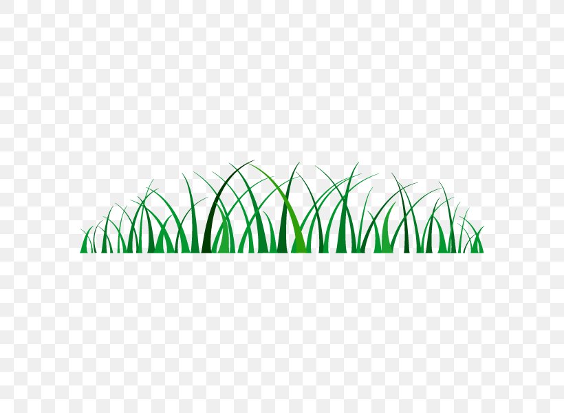 Grass Illustration Weed Vector Graphics, PNG, 600x600px, Grass, Area, Fenaison, Grass Family, Green Download Free