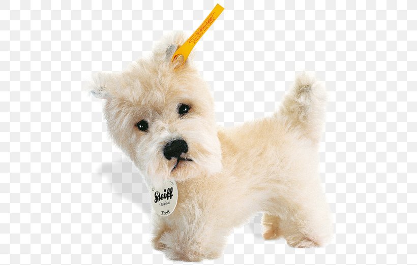 West Highland White Terrier Maltese Dog Havanese Dog Goldendoodle Schnoodle, PNG, 500x522px, West Highland White Terrier, Animal, Breed, Carnivoran, Companion Dog Download Free