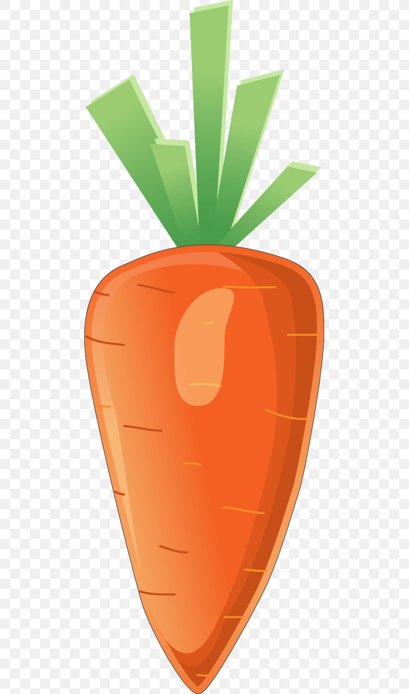 Carrot Euclidean Vector Computer File, PNG, 481x1391px, Carrot, Celery, Daucus Carota, Food, Fruit Download Free