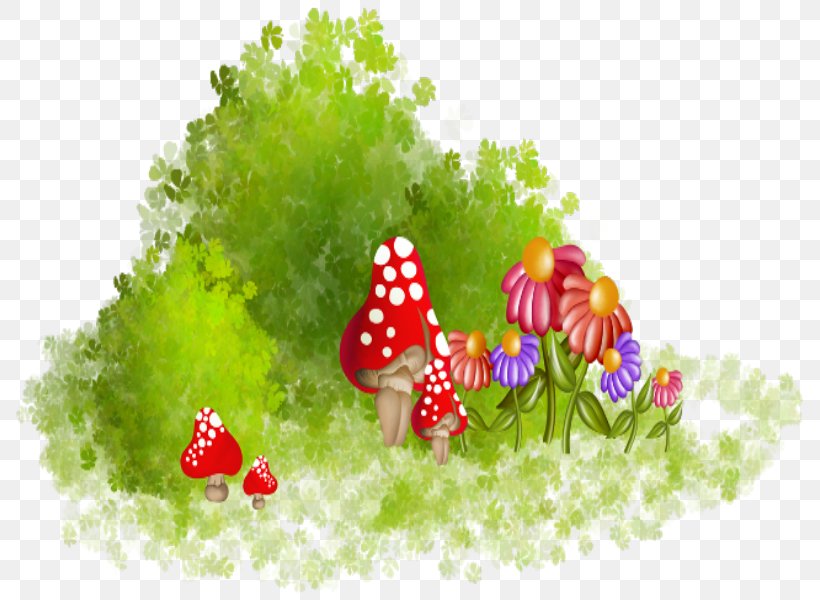 Flower Mushroom Color, PNG, 800x600px, Flower, Butterfly, Color, Designer, Digital Image Download Free
