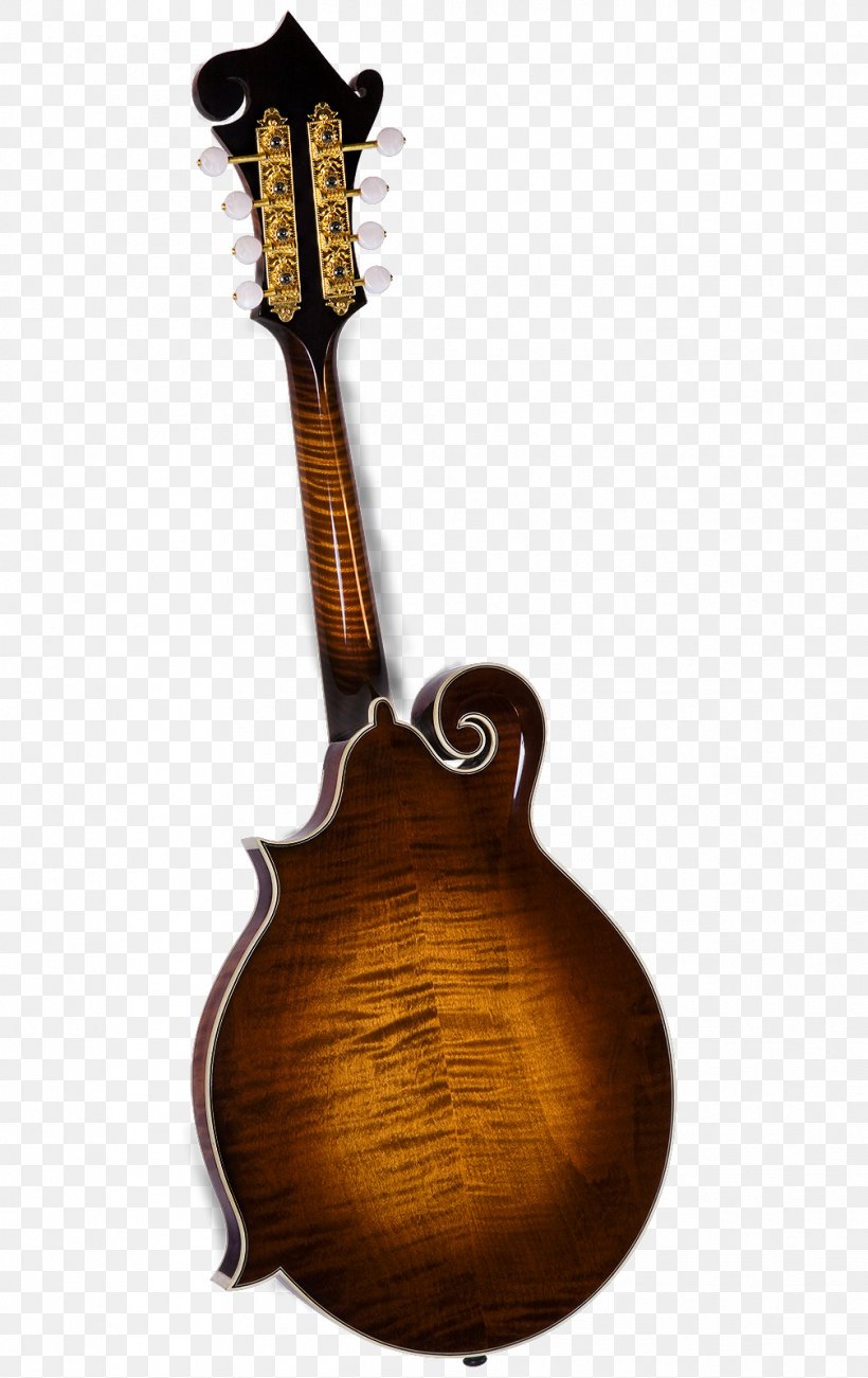 Mandolin Musical Instruments Acoustic-electric Guitar Tiple Amazon.com, PNG, 1008x1600px, Watercolor, Cartoon, Flower, Frame, Heart Download Free