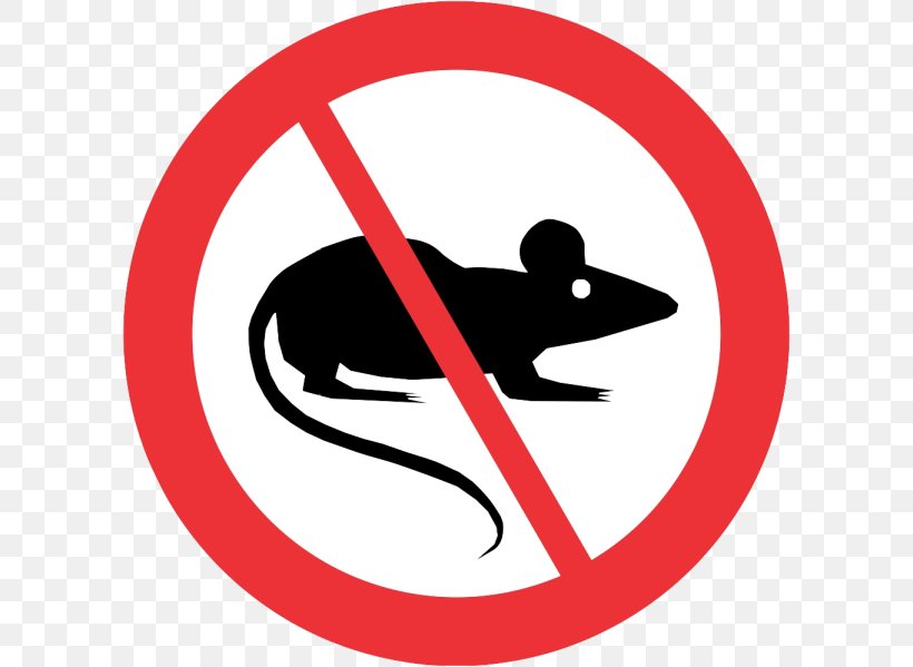 No Rats Mouse Captains Draft 4.0 Rodent, PNG, 600x599px, Rat, Area, Artwork, Brand, Captains Draft 40 Download Free