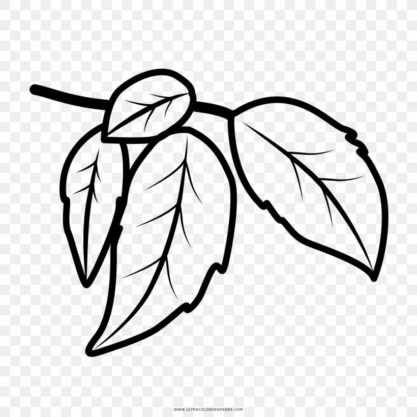 Coloring Book Drawing Leaf Tree, PNG, 1000x1000px, Watercolor, Cartoon, Flower, Frame, Heart Download Free