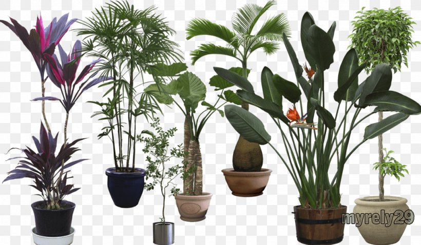 Houseplant El Arte De Enamorar Flowerpot Tree, PNG, 1024x597px, Plant, Arecaceae, Arecales, Autodesk 3ds Max, Autodesk Revit Download Free
