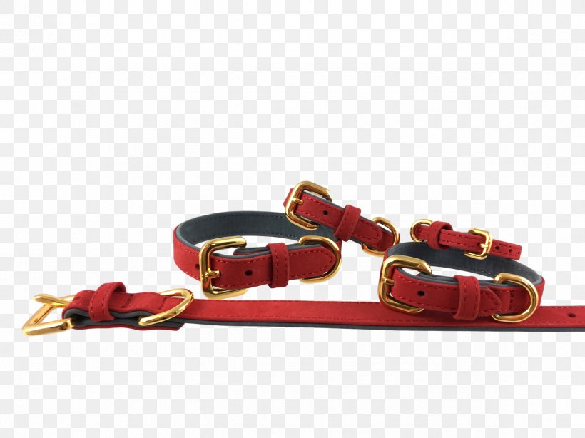 Leash Dog Collar, PNG, 2365x1773px, Leash, Belt, Collar, Dog, Dog Collar Download Free