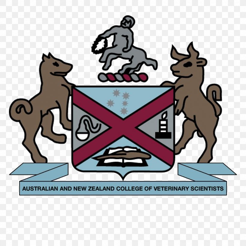 Paddington Cat Hospital Veterinarian Veterinary Medicine University Science, PNG, 960x960px, Veterinarian, Australia, Carnivoran, Cartoon, College Download Free