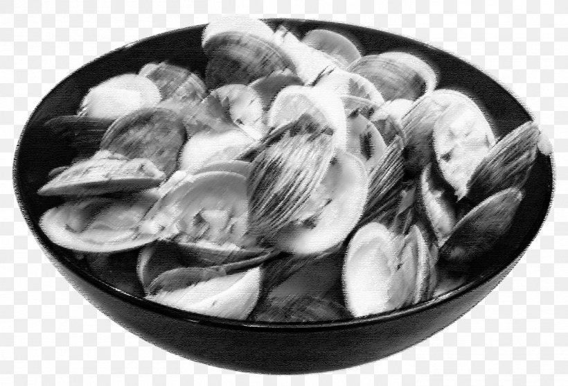 Steamed Clams Mussel Clam Sauce Chowder, PNG, 1411x960px, Clam, Animal Source Foods, Black And White, Chowder, Clam Sauce Download Free