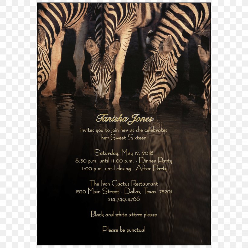 Wedding Invitation Party Sweet Sixteen Mammal, PNG, 1660x1660px, Wedding Invitation, Business, Customer, Gift, Holiday Download Free