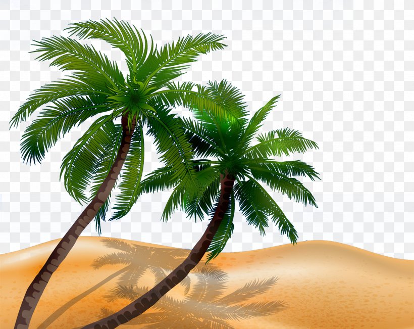 Arecaceae Tree Silhouette Illustration, PNG, 2386x1896px, Arecaceae, Arecales, Coconut, Date Palm, Palm Tree Download Free