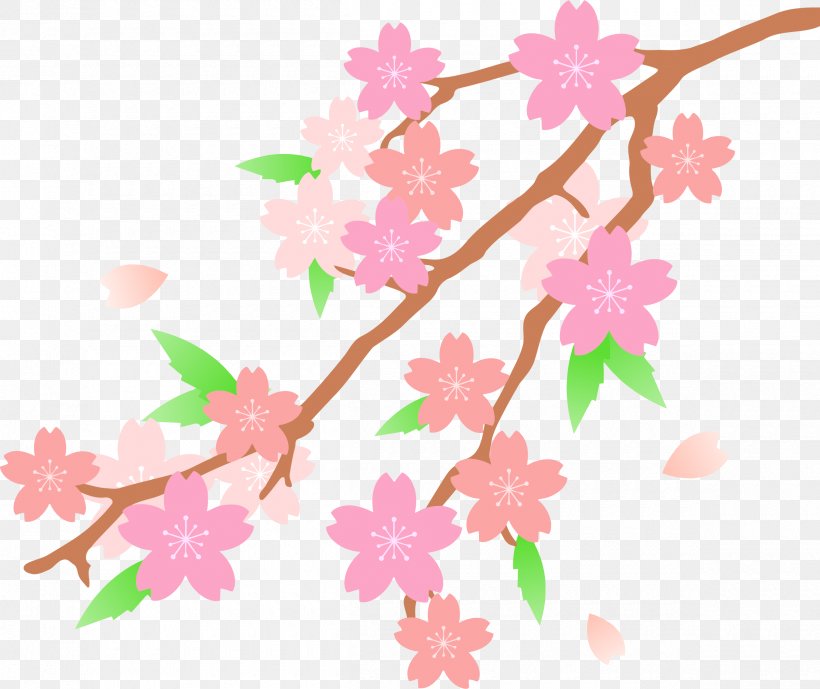 Cherry Blossom Clip Art, PNG, 2400x2018px, Cherry Blossom, Blossom, Branch, Cherry, Copyright Download Free