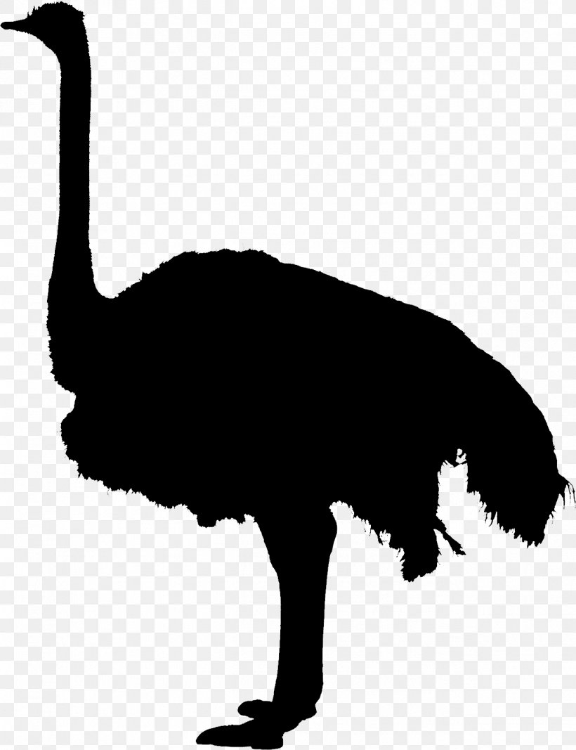 Clip Art Fauna Silhouette Beak, PNG, 1272x1656px, Fauna, Beak, Bird, Emu, Flightless Bird Download Free