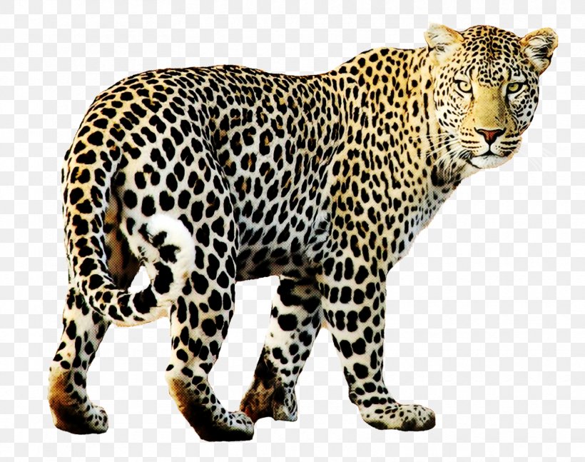 Leopard Jaguar Wildlife Animal Figure, PNG, 1670x1319px, Leopard, Animal Figure, Jaguar, Wildlife Download Free