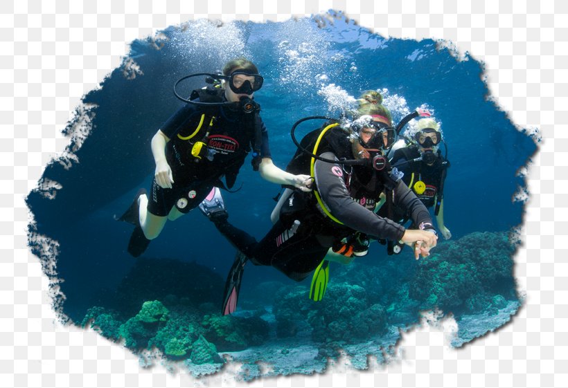 PADI Discover Scuba Diving Dry Suit Divemaster Underwater Diving, PNG, 770x561px, Scuba Diving, Adventure, Aquanaut, Biology, Divemaster Download Free