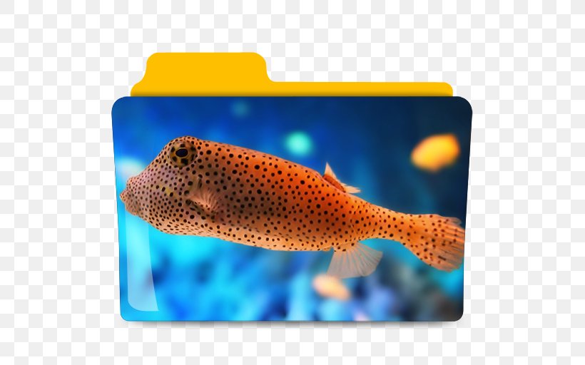Saltwater Fish Deep Sea Fish Ocean Aquarium, PNG, 512x512px, Saltwater Fish, Aquarium, Bony Fish, Coral Reef Fish, Deep Sea Download Free