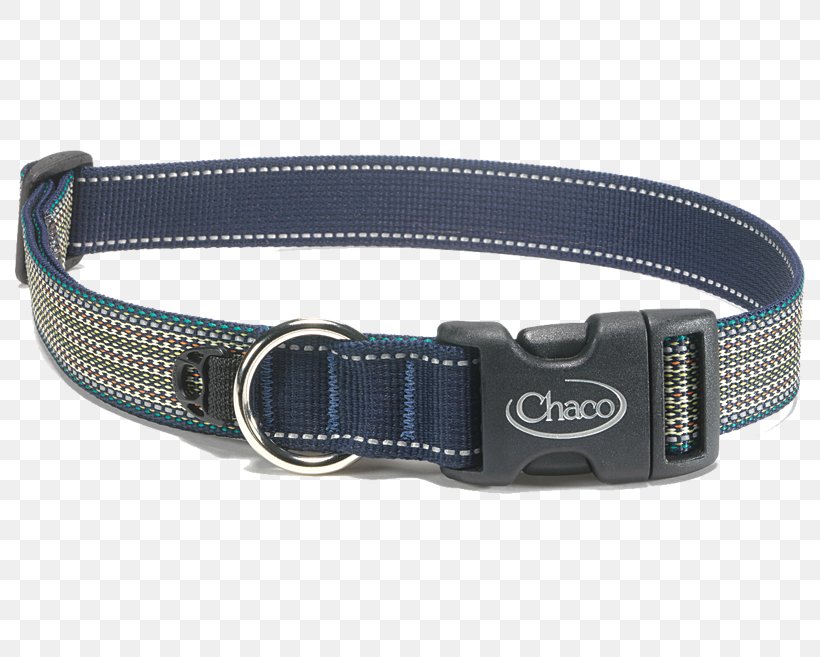Dog Collar Leash Chaco, PNG, 790x657px, Dog, Belt, Belt Buckle, Belt Buckles, Buckle Download Free