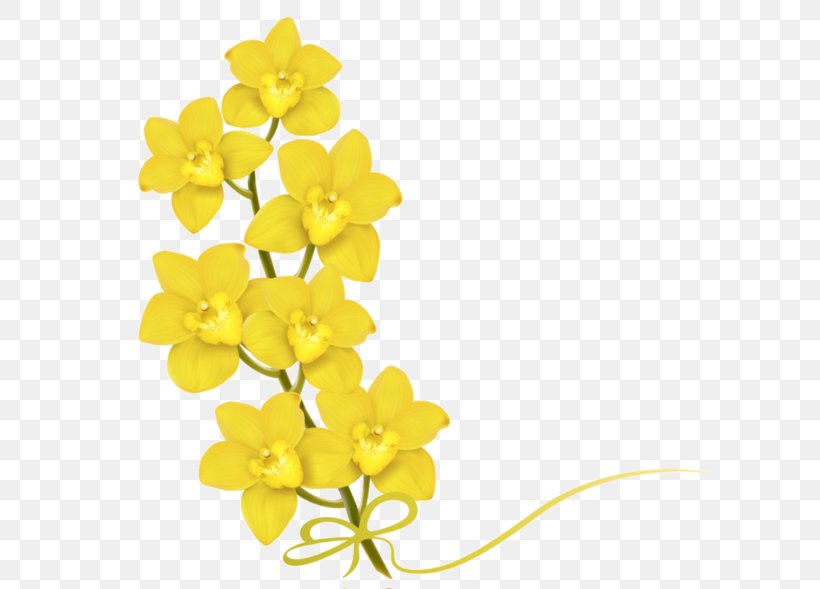 Yellow Flower Clip Art, PNG, 600x589px, Yellow, Color, Cut Flowers, Flower, Flowering Plant Download Free