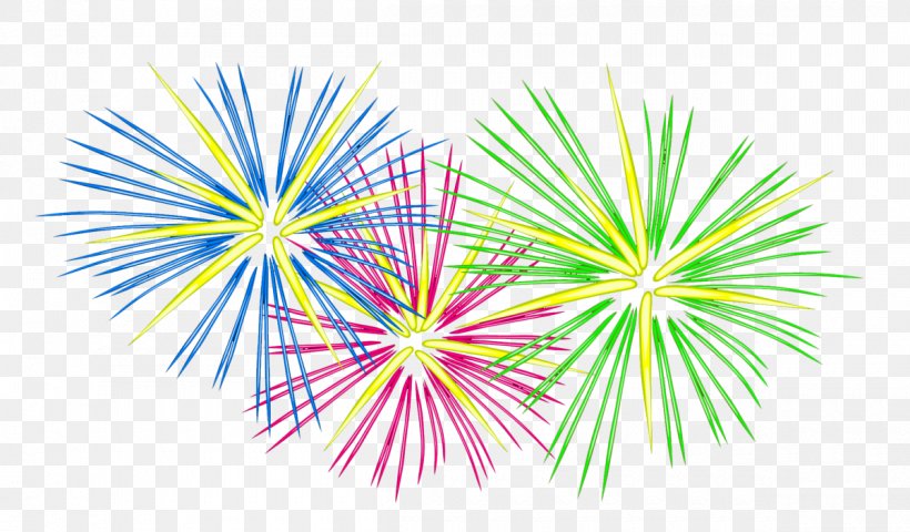 Fireworks png images | PNGWing