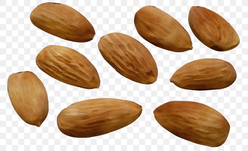 Almond Nut Apricot Kernel Nuts & Seeds Plant, PNG, 800x500px, Watercolor, Almond, Apricot Kernel, Food, Nut Download Free