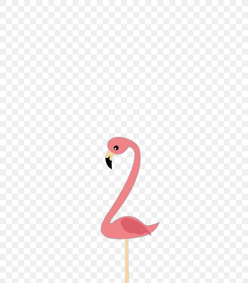 Flamingo Cartoon Bird Illustration, PNG, 500x935px, Flamingo, Beak, Bird, Cartoon, Flamingos Download Free