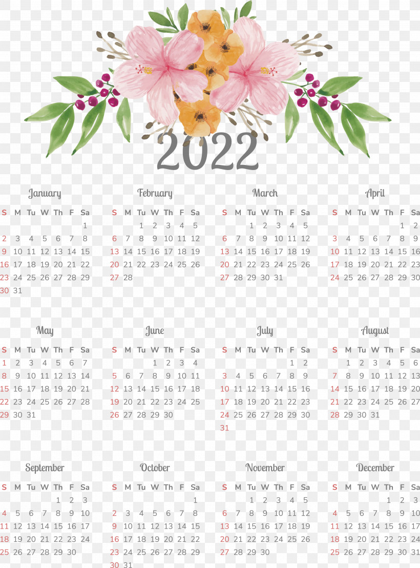 Flower Calendar 2011 Plant Science, PNG, 3768x5099px, Flower, Biology, Calendar, Plant, Science Download Free