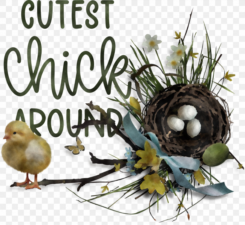 Happy Easter Easter Day Cutest Chick Around, PNG, 3000x2748px, Happy Easter, Bald Eagle, Beak, Bird Food, Bird Nest Download Free