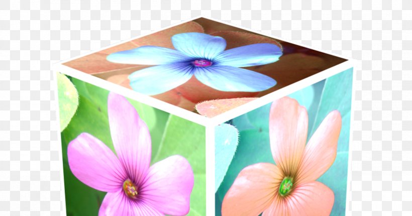 Three-dimensional Space Cube Animaatio Keyword Tool, PNG, 1200x630px, Threedimensional Space, Animaatio, Computing, Cube, Flower Download Free