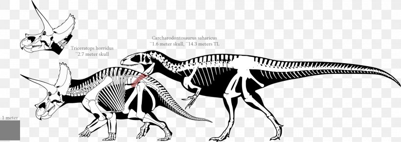 Tyrannosaurus Carcharodontosaurus Triceratops Giganotosaurus Torosaurus, PNG, 2000x708px, Tyrannosaurus, Black And White, Carcharodontosaurus, Carnivore, Dinosaur Download Free
