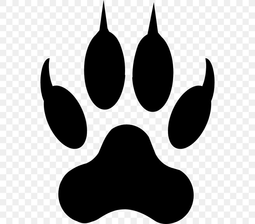 Gray Wolf Paw Clip Art, PNG, 560x720px, Gray Wolf, Animal, Animal Track, Black, Black And White Download Free