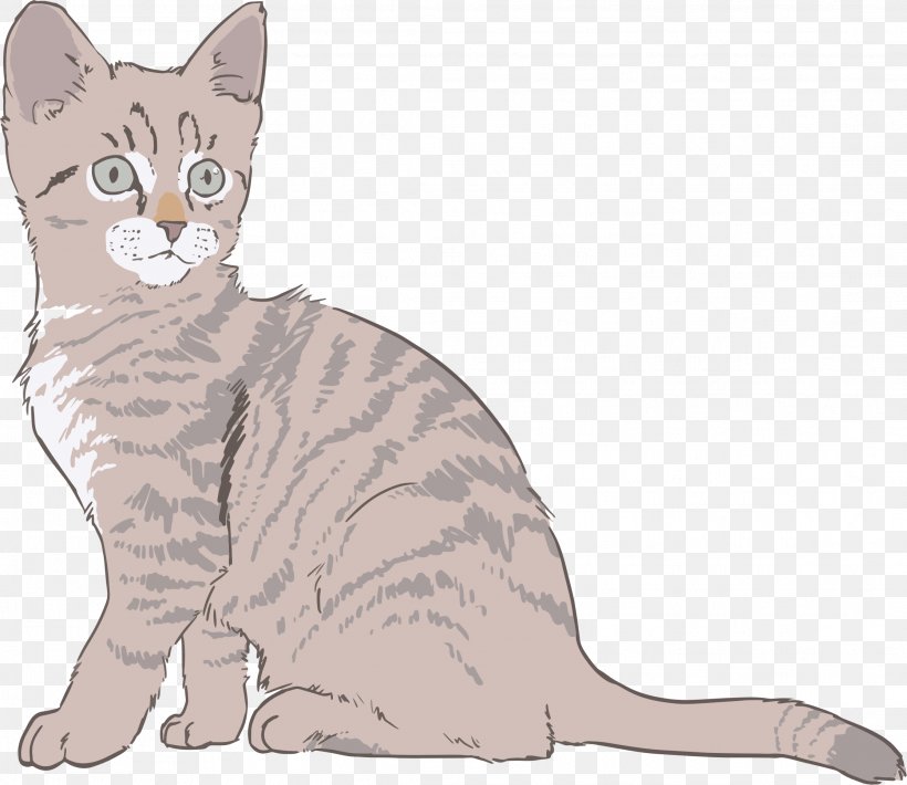 Kitten Sphynx Cat Drawing Clip Art, PNG, 2231x1934px, Kitten, American Shorthair, American Wirehair, Asian, Australian Mist Download Free
