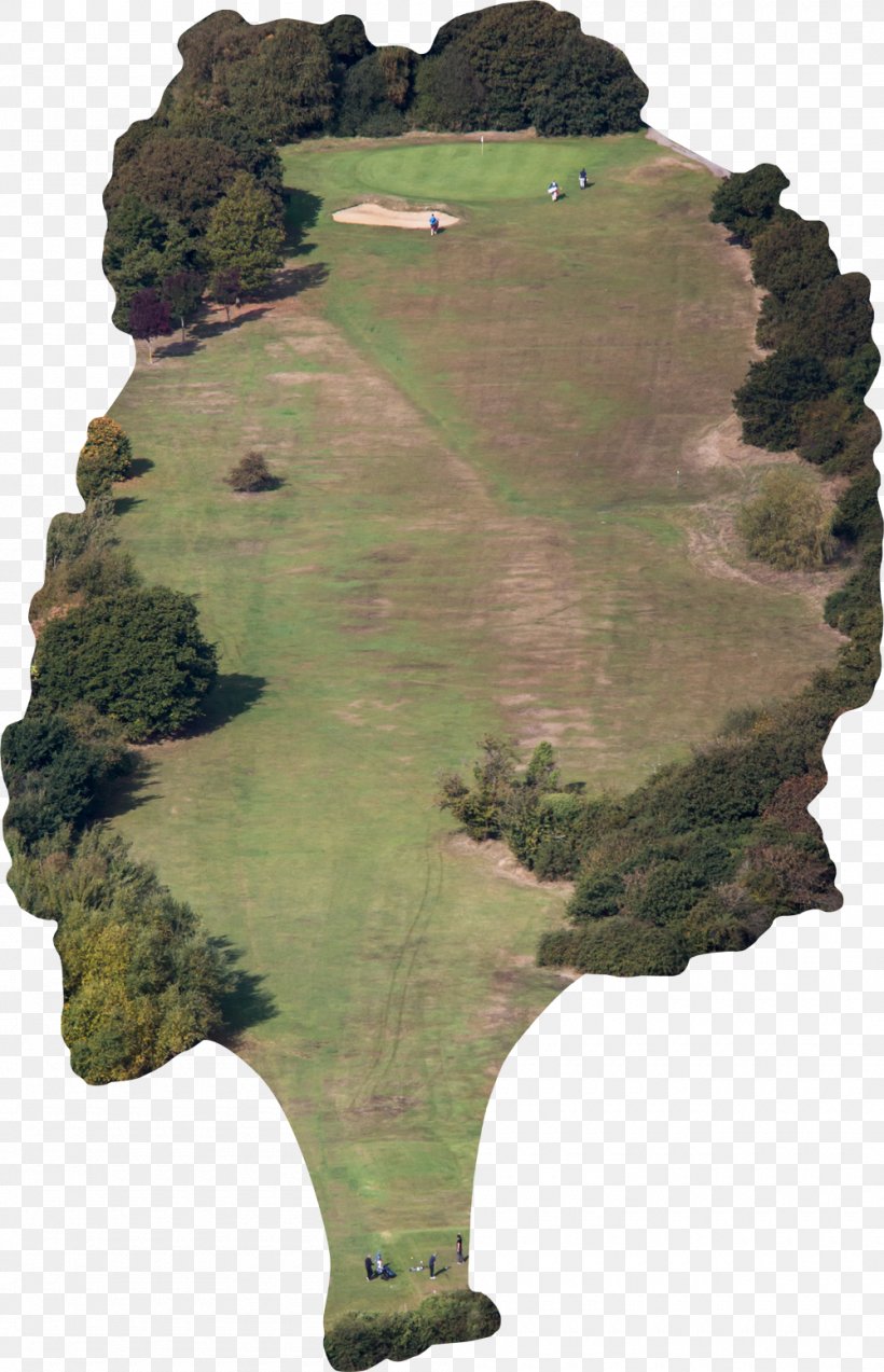 Southsea Golf Club (Portsmouth, Great Salterns) Golf Course Golf Clubs Great Salterns Lake, PNG, 1000x1553px, Golf Course, Christmas Card, Golf, Golf Clubs, Grass Download Free