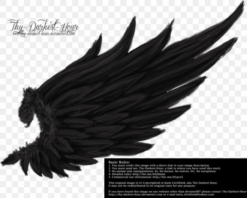 Drawing Angel Wing Photography DeviantArt, PNG, 900x721px, Wing, Angel Wing, Bird, Black And White, Black Hair Download Free
