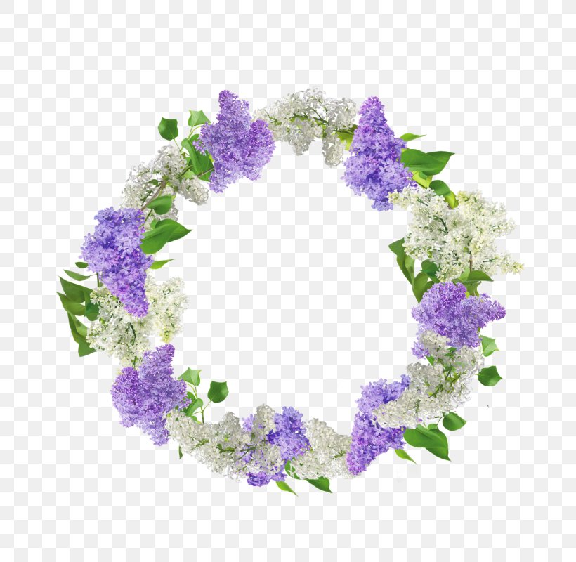 Flower Floral Design Wreath Art Illustration, PNG, 800x800px, Flower, Art, Arts, Bellflower, Bellflower Family Download Free