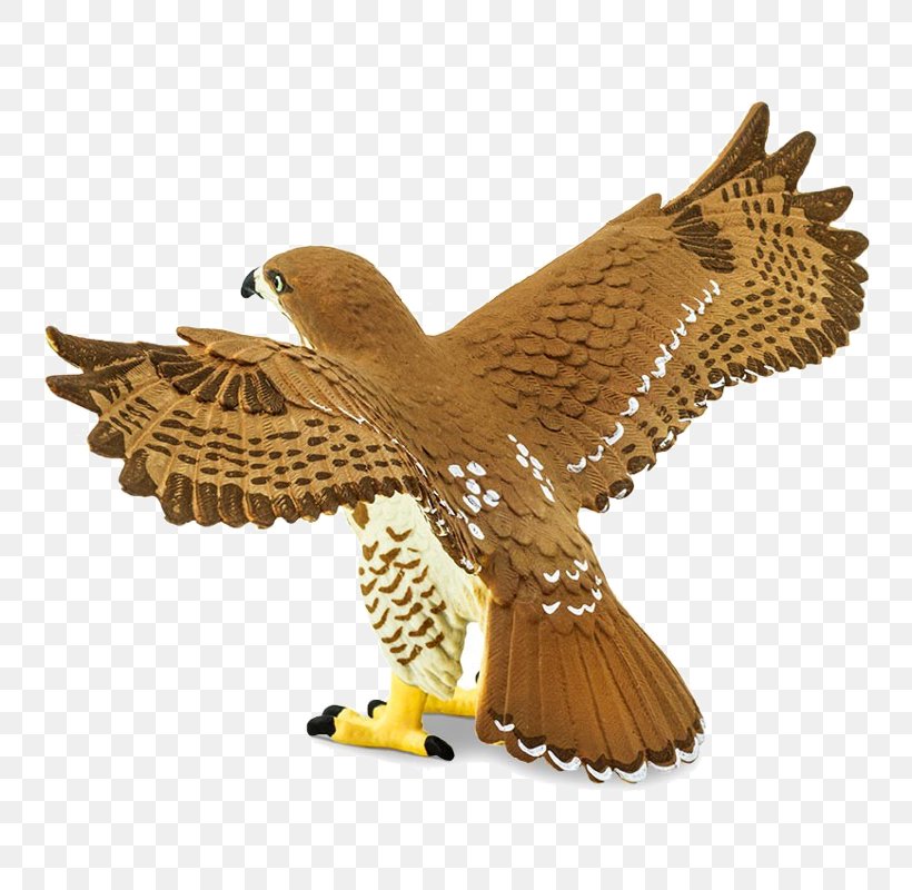 Eagle Red-tailed Hawk Bird Safari Ltd, PNG, 800x800px, Eagle, Accipitriformes, Accipitrinae, Beak, Bear Download Free