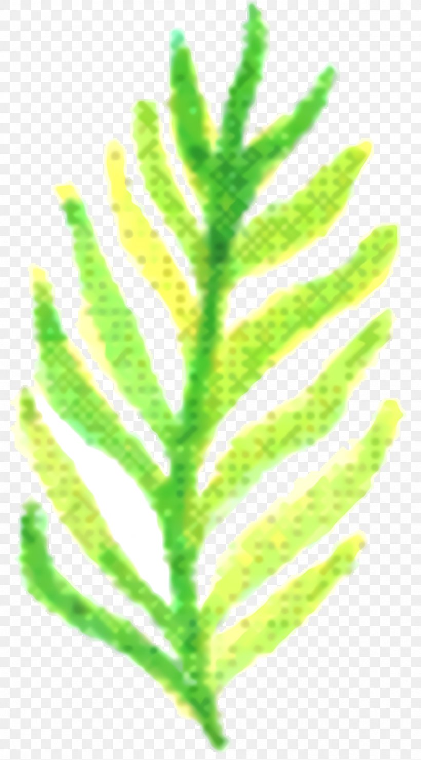 Green Leaf Background, PNG, 1036x1872px, Leaf, Flower, Green, Plant, Plant Stem Download Free