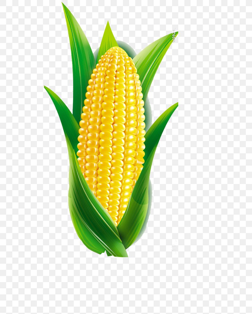 Maize Cartoon, PNG, 534x1024px, Maize, Carrot, Cartoon, Commodity, Corn Kernel Download Free