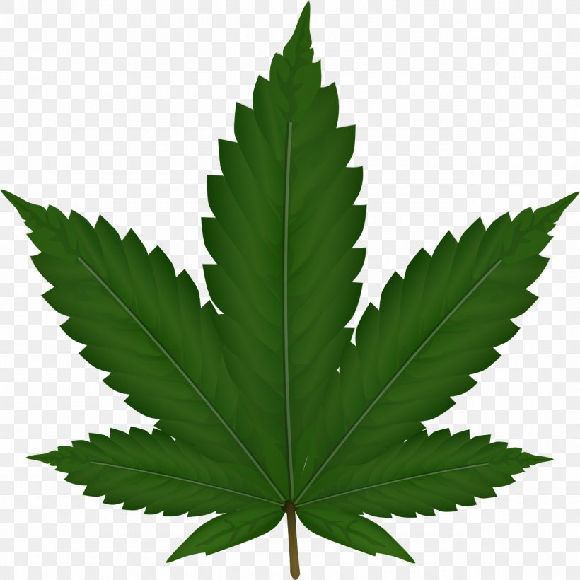 Medical Cannabis Cannabis Smoking, PNG, 1279x1280px, Cannabis, Axillary Bud, Bud, Drawing, Drug Download Free