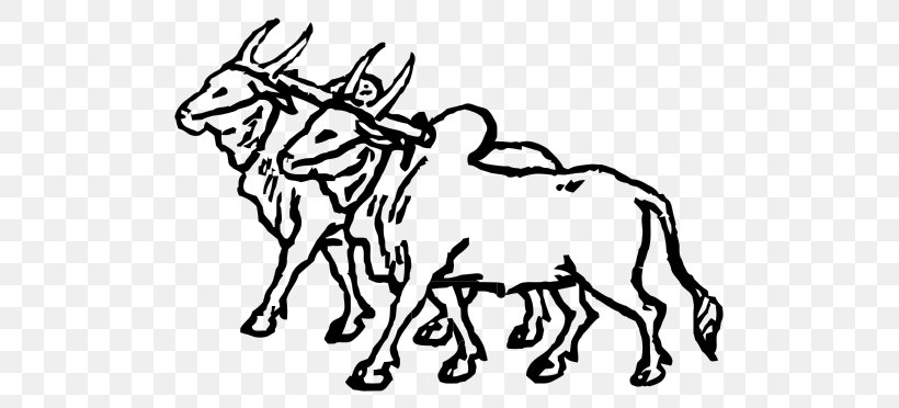 Ox Cattle Mule Clip Art, PNG, 537x372px, Cattle, Animal Figure, Artwork, Black And White, Bullock Cart Download Free